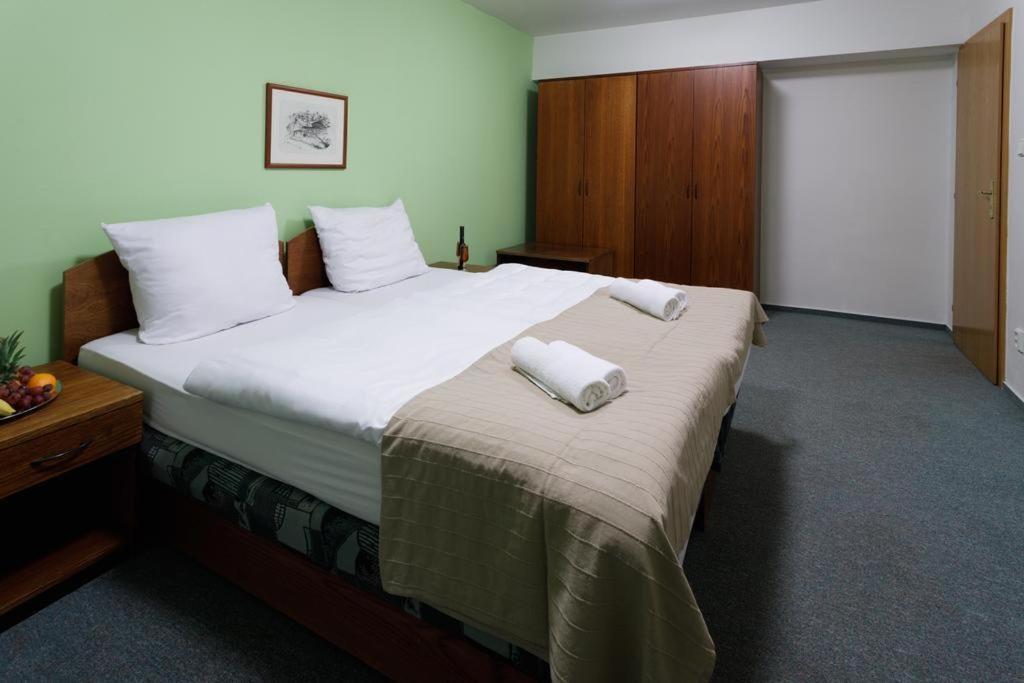 Hotel U Andela Michaela Javorná Kültér fotó